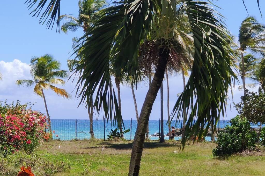 Parfum Des Iles - Vue Mer, Plage A 30M Et Piscine En Option Le Gosier  Exteriér fotografie