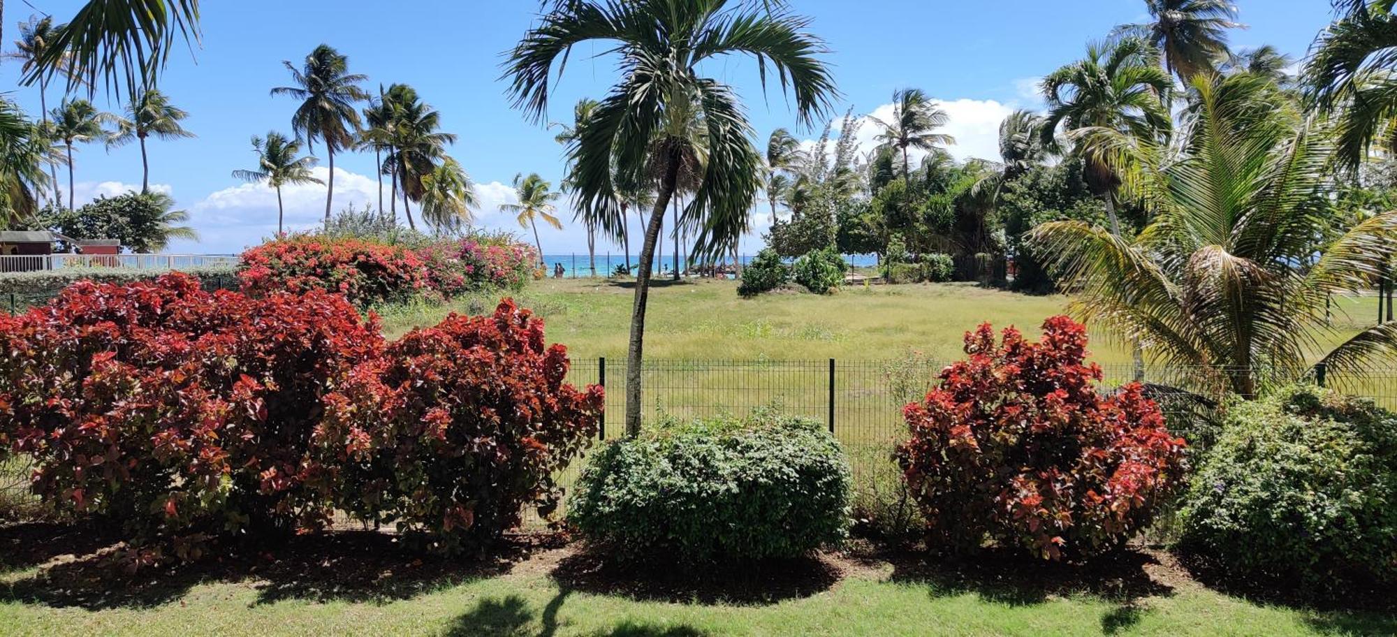 Parfum Des Iles - Vue Mer, Plage A 30M Et Piscine En Option Le Gosier  Exteriér fotografie